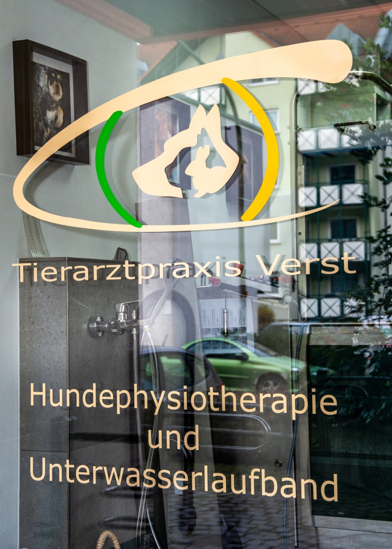 PhysioScheibe